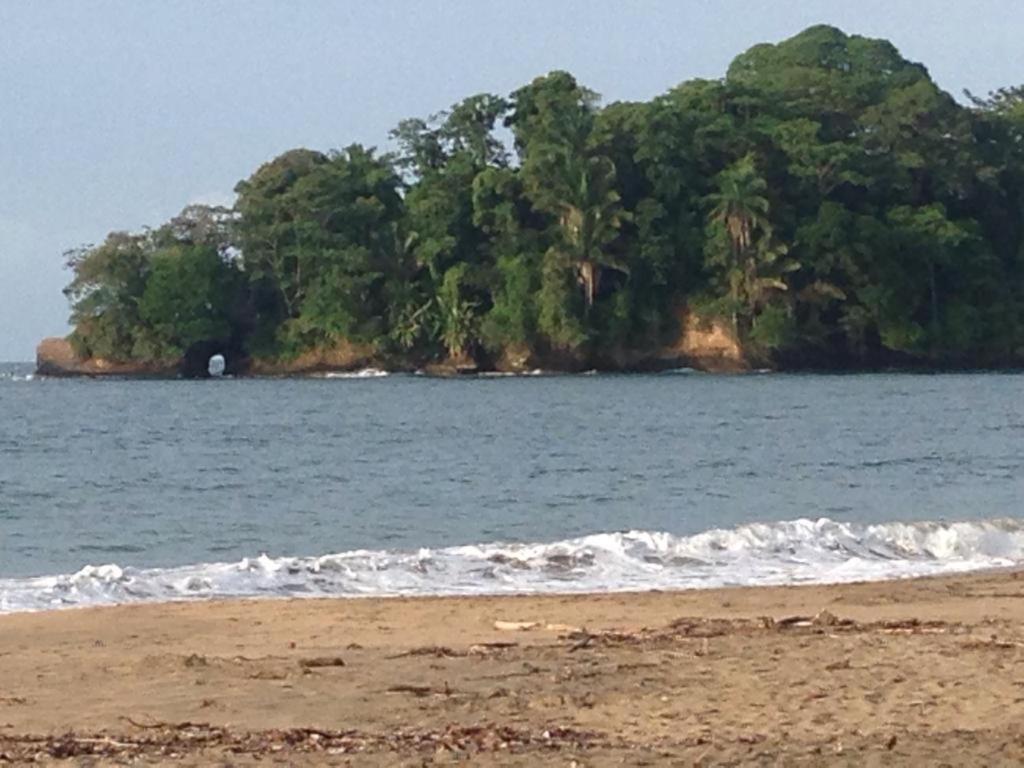 Hotel One Love Puerto Viejo Puerto Viejo de Talamanca المظهر الخارجي الصورة
