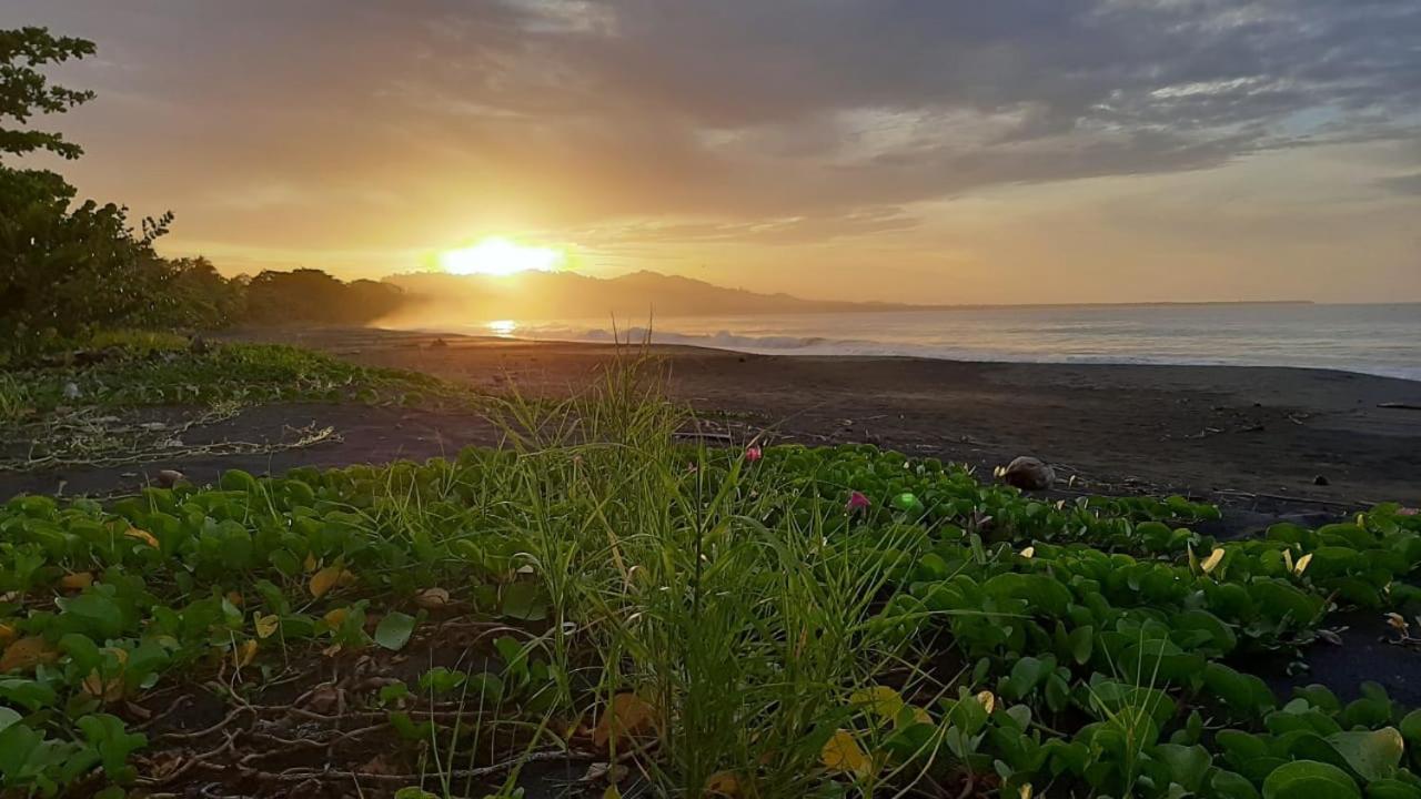 Hotel One Love Puerto Viejo Puerto Viejo de Talamanca المظهر الخارجي الصورة