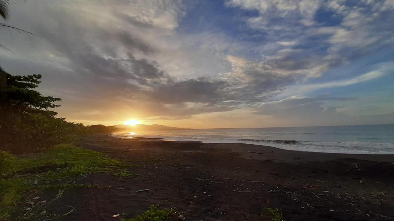 Hotel One Love Puerto Viejo Puerto Viejo de Talamanca المظهر الخارجي الصورة