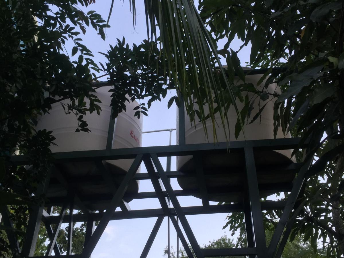 Hotel One Love Puerto Viejo Puerto Viejo de Talamanca المظهر الخارجي الصورة